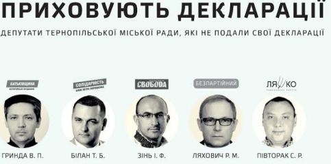 декларації, депутати, тернопіль, міська рада, обласна рада, фото, тернопільський тидень
