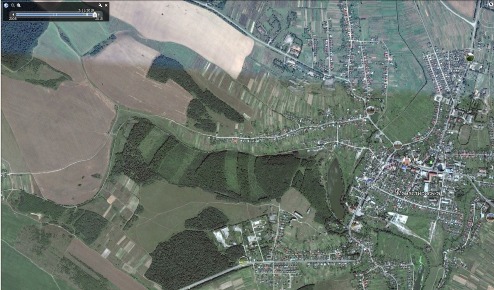 лиса гора, монастириська, вирубка, фото, тернопільський тиждень