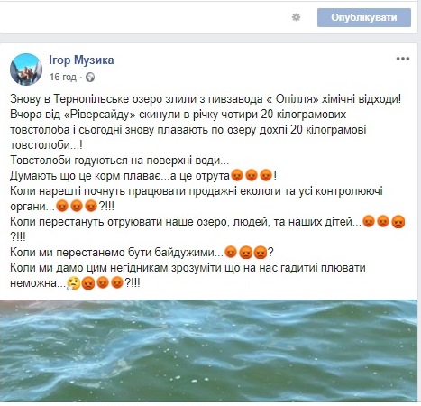 Ігор музика, тернопіль, став, фото, риба, пивзавод, опілля, тернопільський тиждень