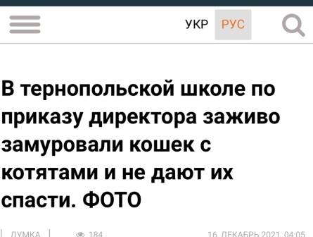 28 школа, коти, замурували, скандал, директор, лілія вавринів, фото, тернопільський тиждень