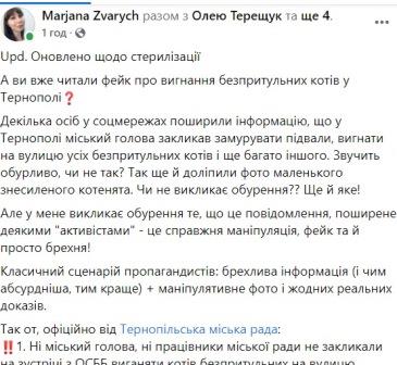 коти, бездомні, сканадл, тернопіль, міська рада, хатіко, фото, маряна зварич, тернопільський тиждень